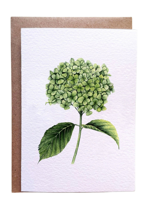 Hydrangea Greetings Card